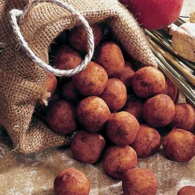 Edel-Marzipan-Kartoffeln im Kartoffel-Sack