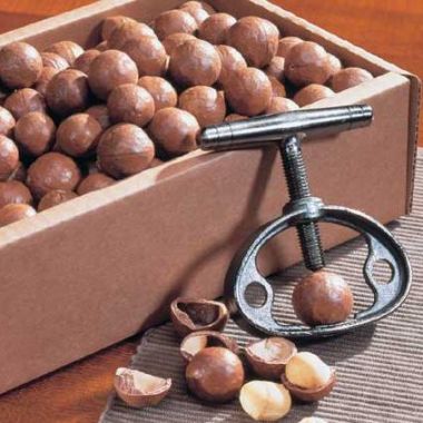 Macadamia in der Schale & Nussknacker